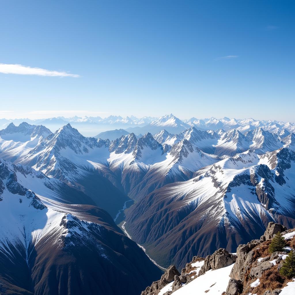 Andes plane crash