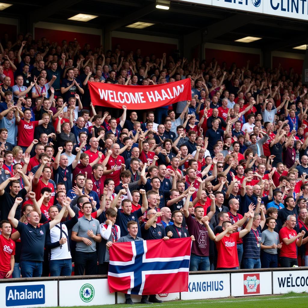 Fans cheering at Hurst Cross