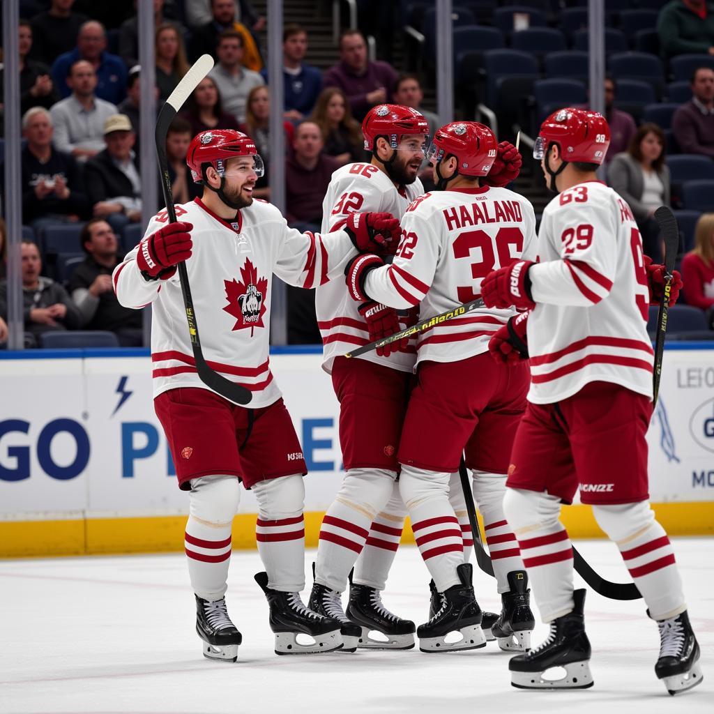 Haaland Celebrating a Goal