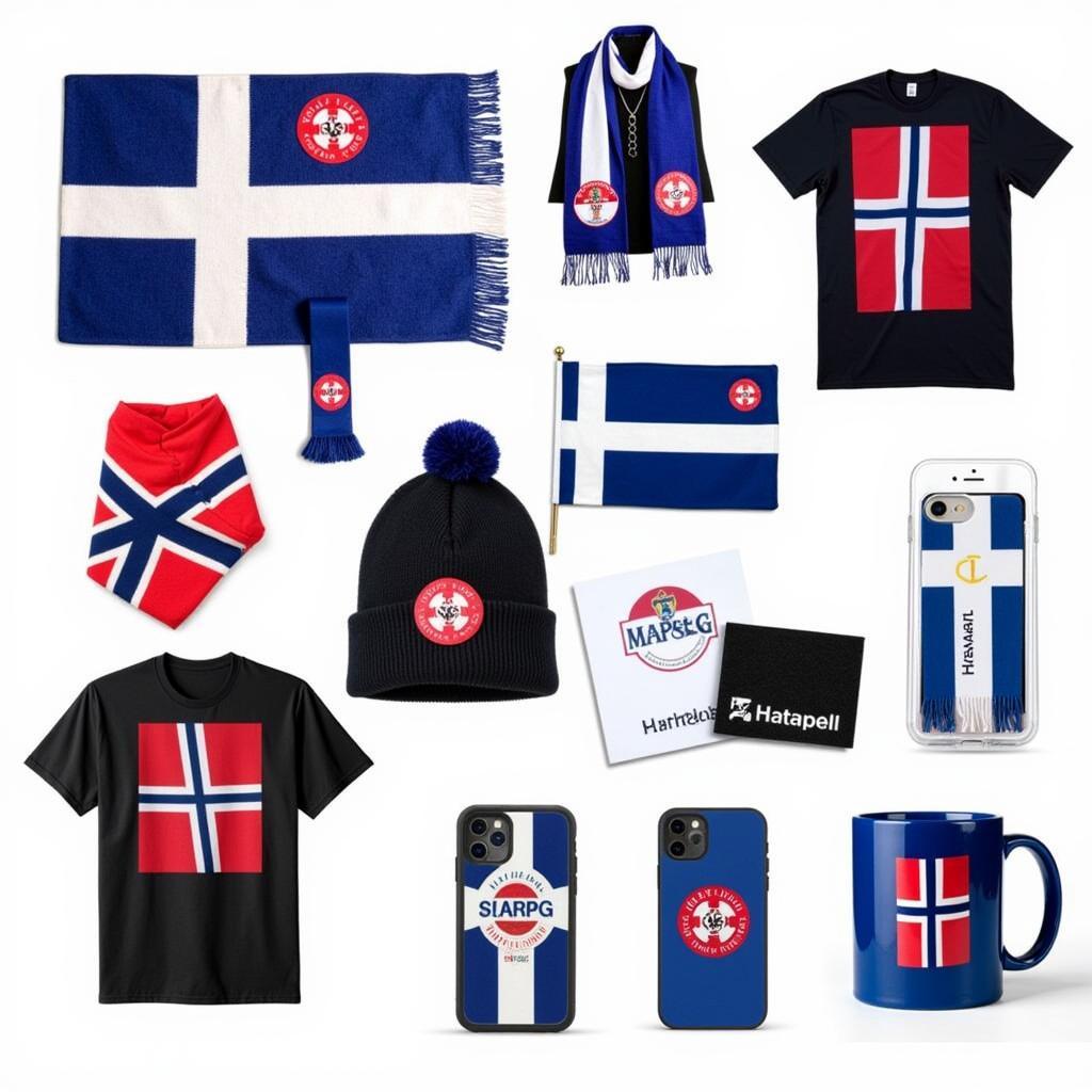 Erling Haaland Fan Gear