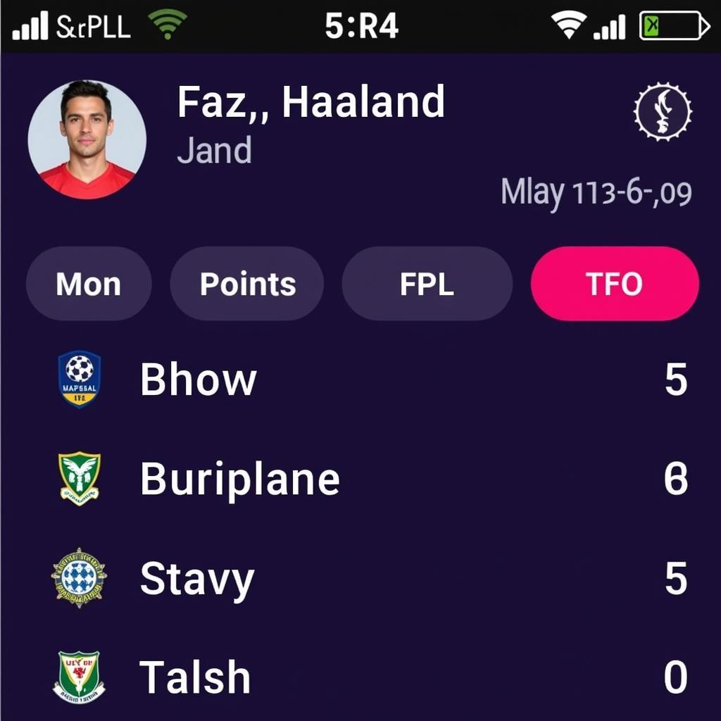 Haaland's name highlighted on the FPL app