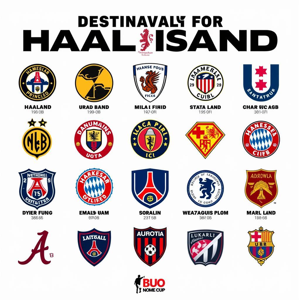 Haaland's Potential Future Clubs