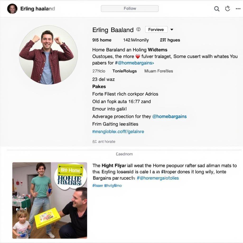  A mock-up of Erling Haaland's Instagram feed featuring a sponsored post for Home Bargains