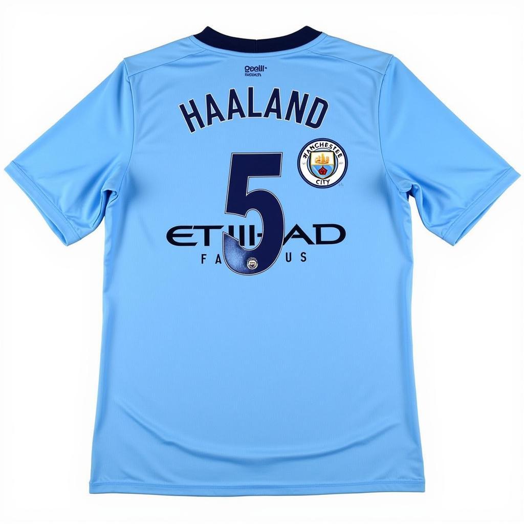 Erling Haaland Manchester City Jersey