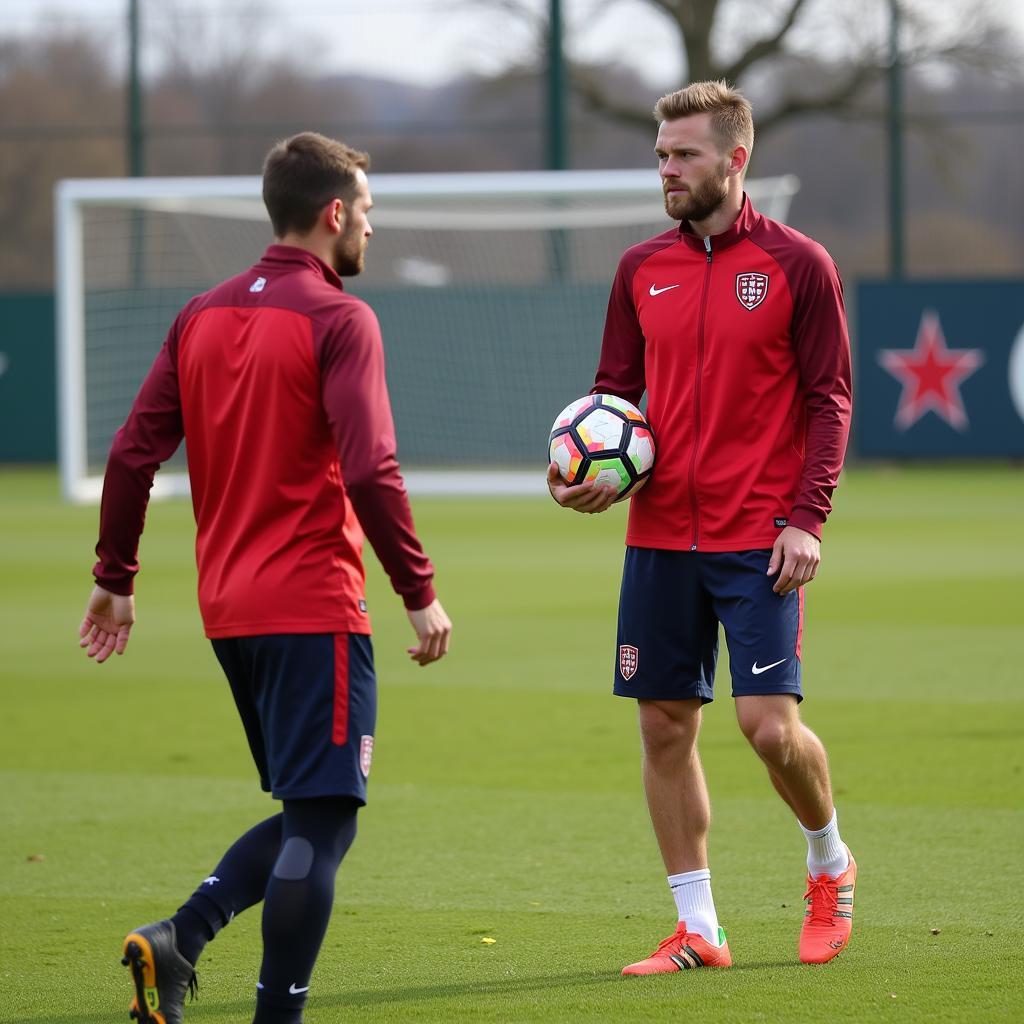 Odegaard and Haaland training with Norway