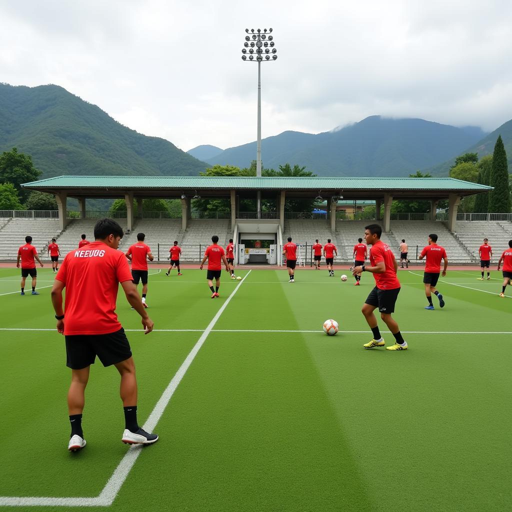 Vietnam national football team training