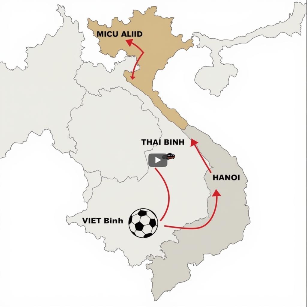 Bui Hoang Viet Anh's Football Journey from Thai Binh