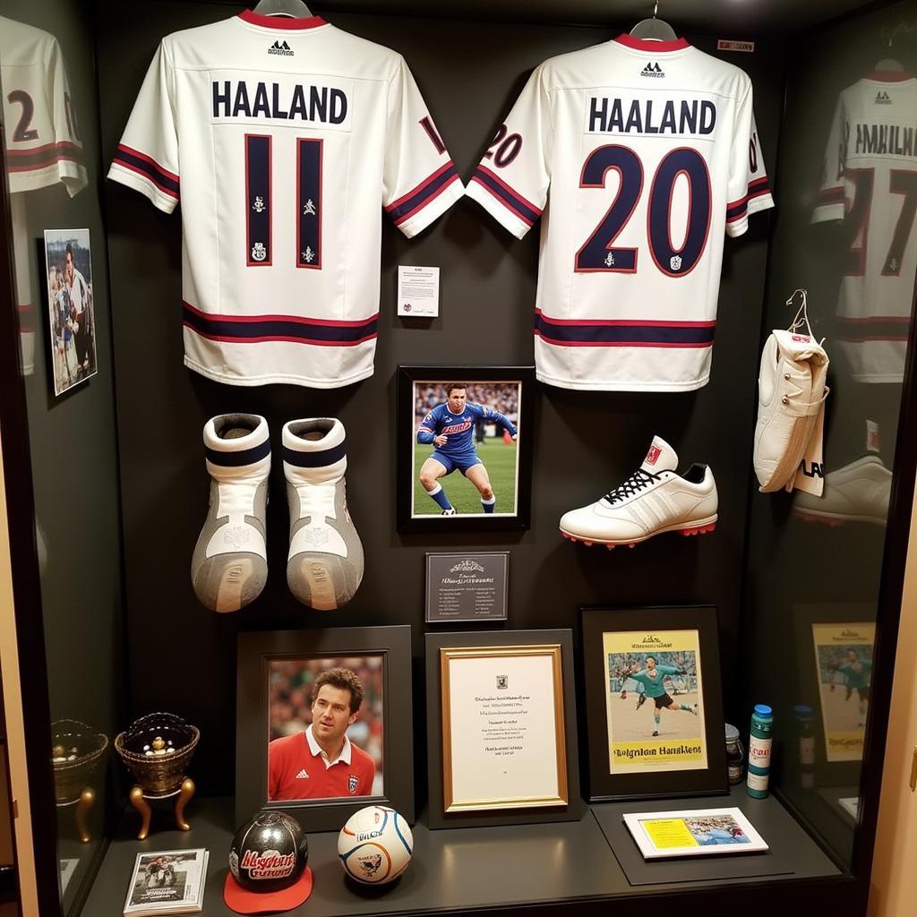 Erling Haaland Memorabilia Display Case