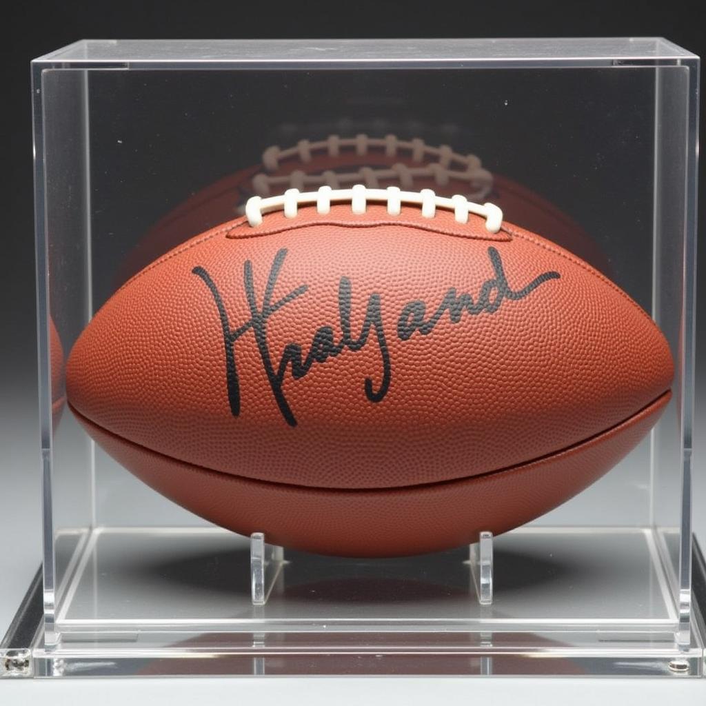 Erling Haaland signed football displayed in a protective case