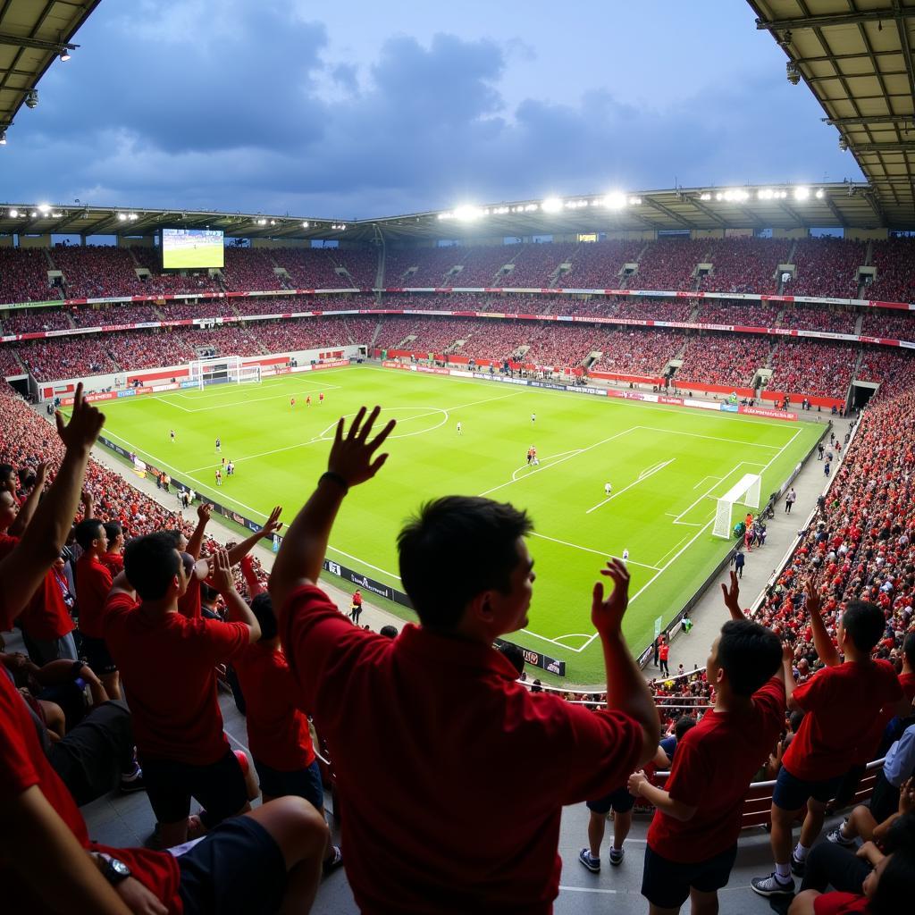 Ha Tinh Football Fans