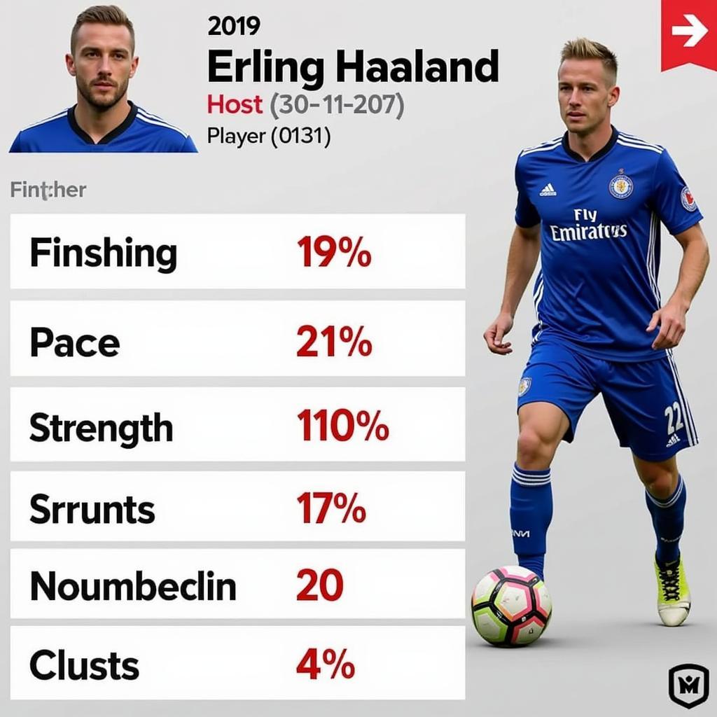 FM 2019 Haaland Profile Screenshot