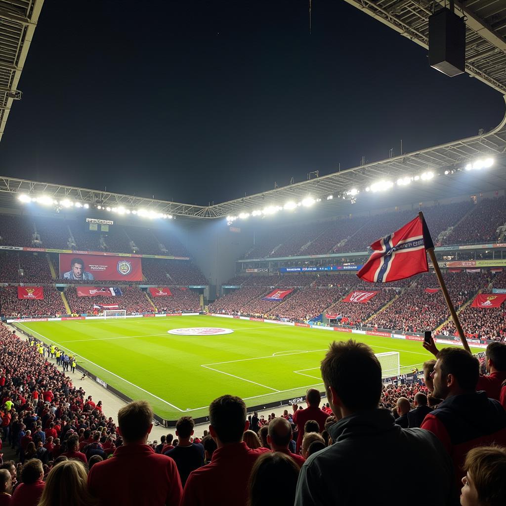 Crowd chanting for Haaland in a German stadium