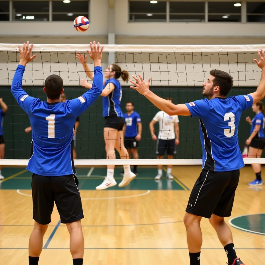 Two male volleyball players forming a strong block at the net