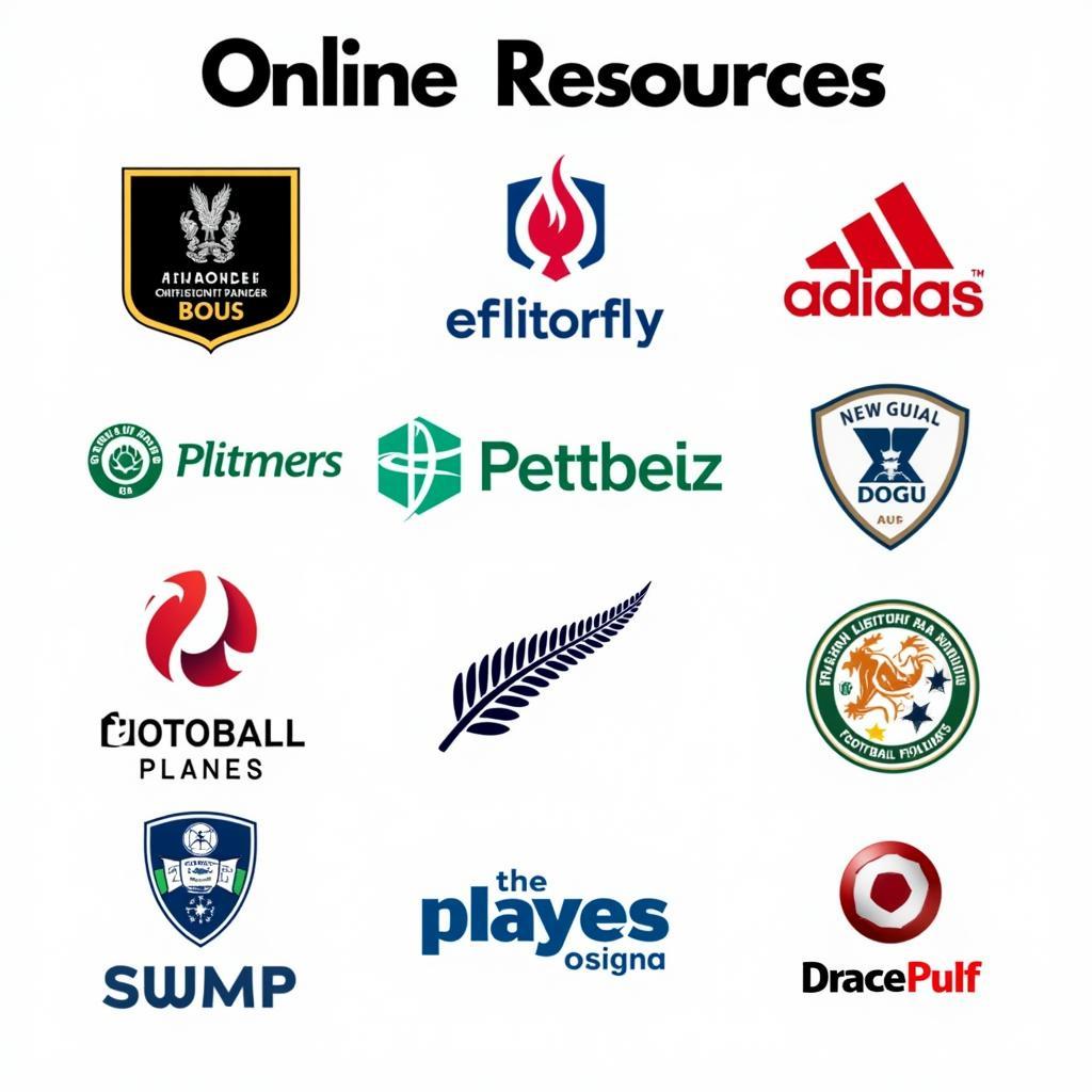 Online Resources for New Zealand Football Information