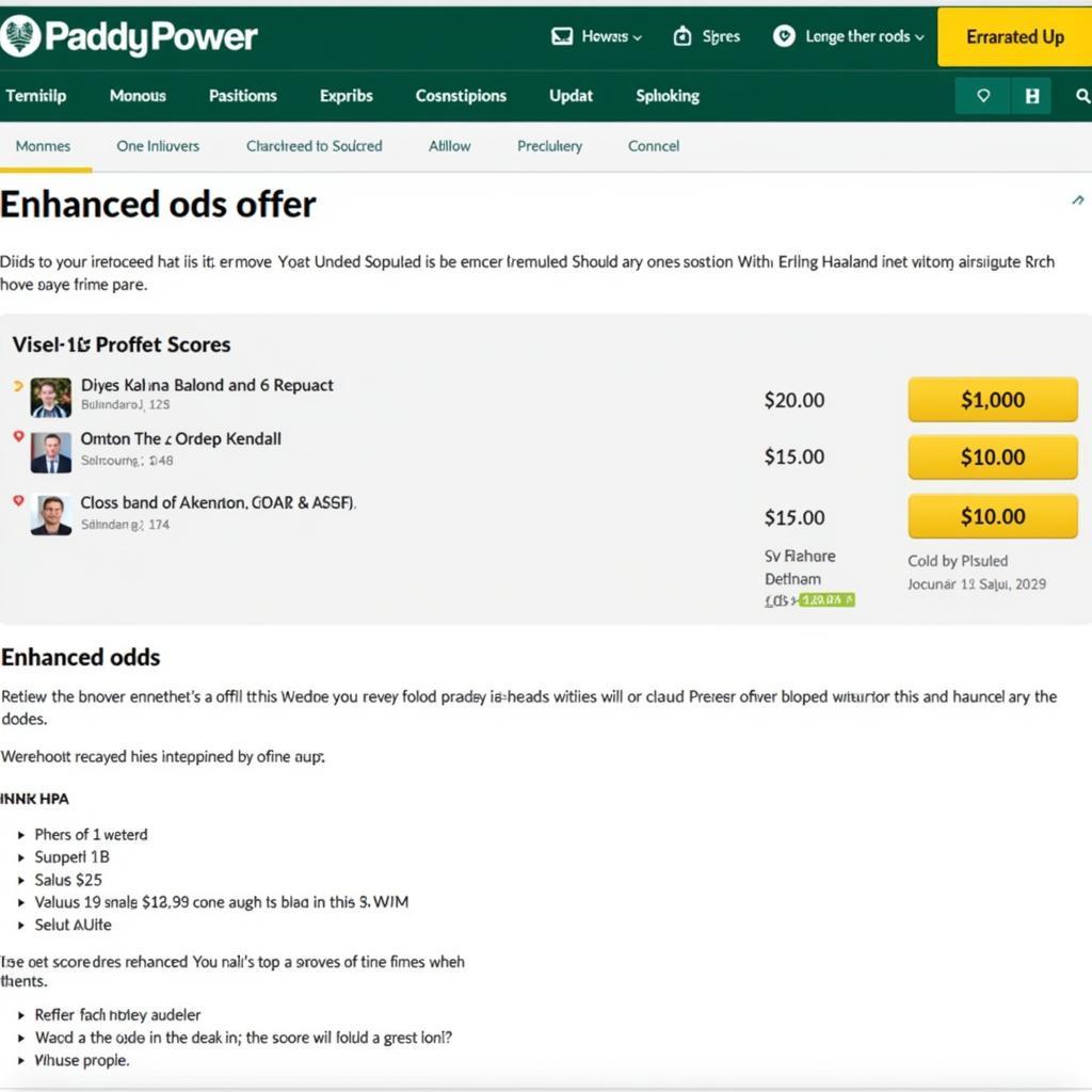 Paddy Power Enhanced Odds Offer for Erling Haaland