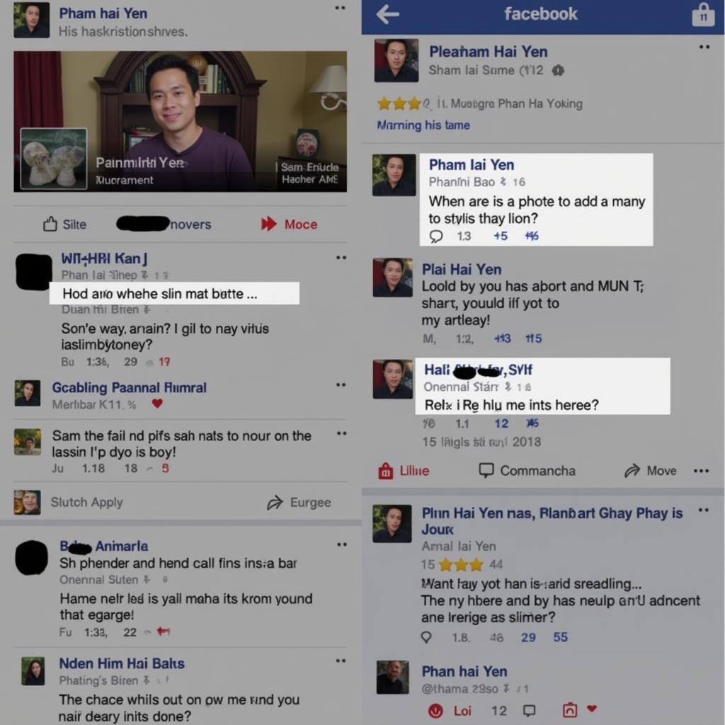 Pham Hai Yen interacting with fans on Facebook