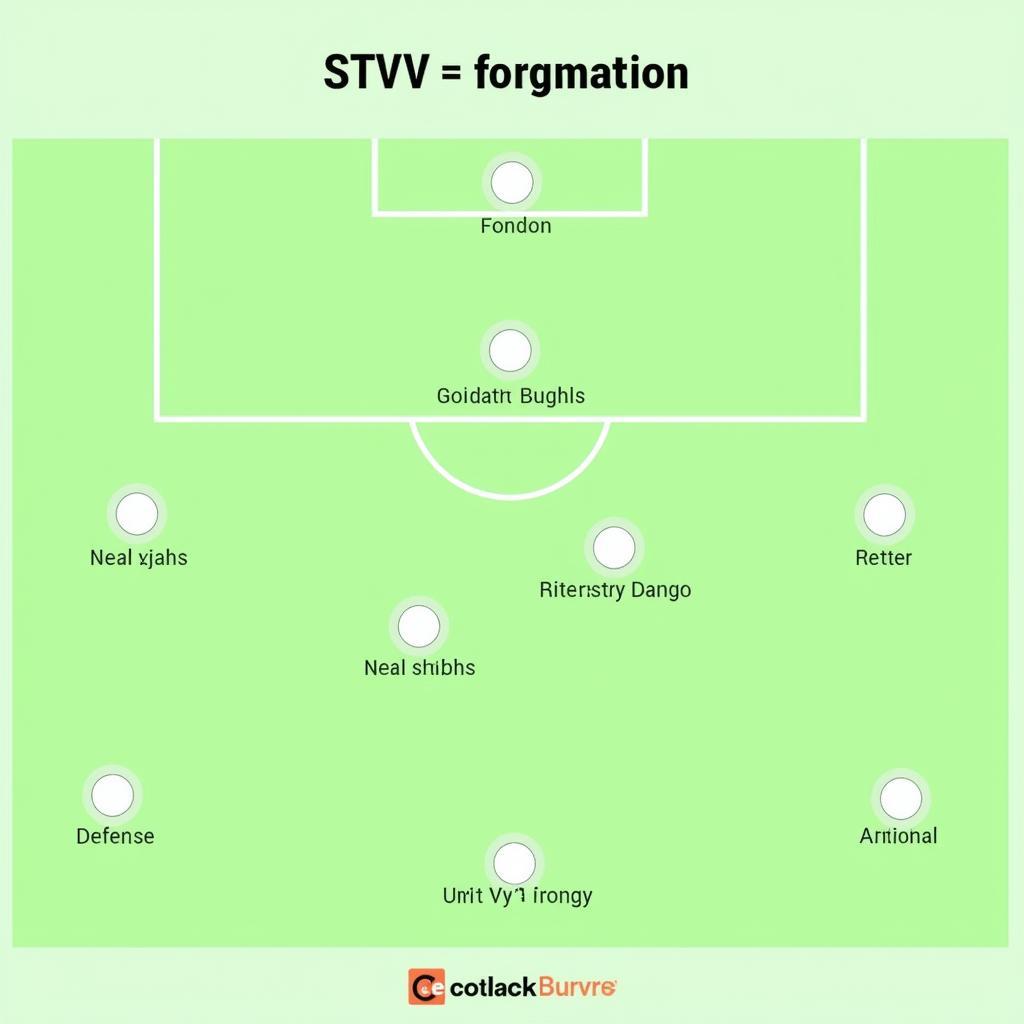 STVV Tactical Formation Under Coach Bry