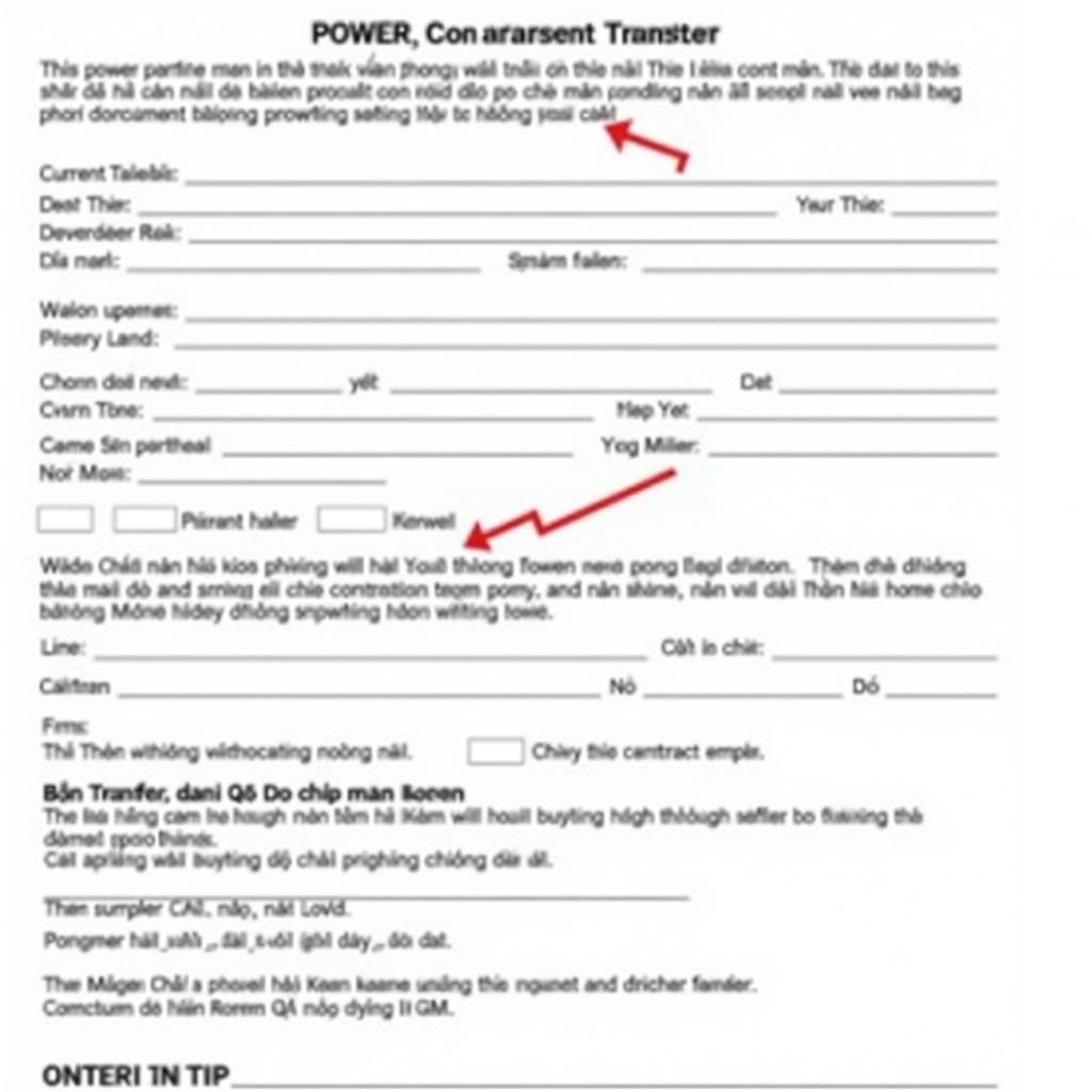 Thủ Thiêm Power Contract Transfer Form Example