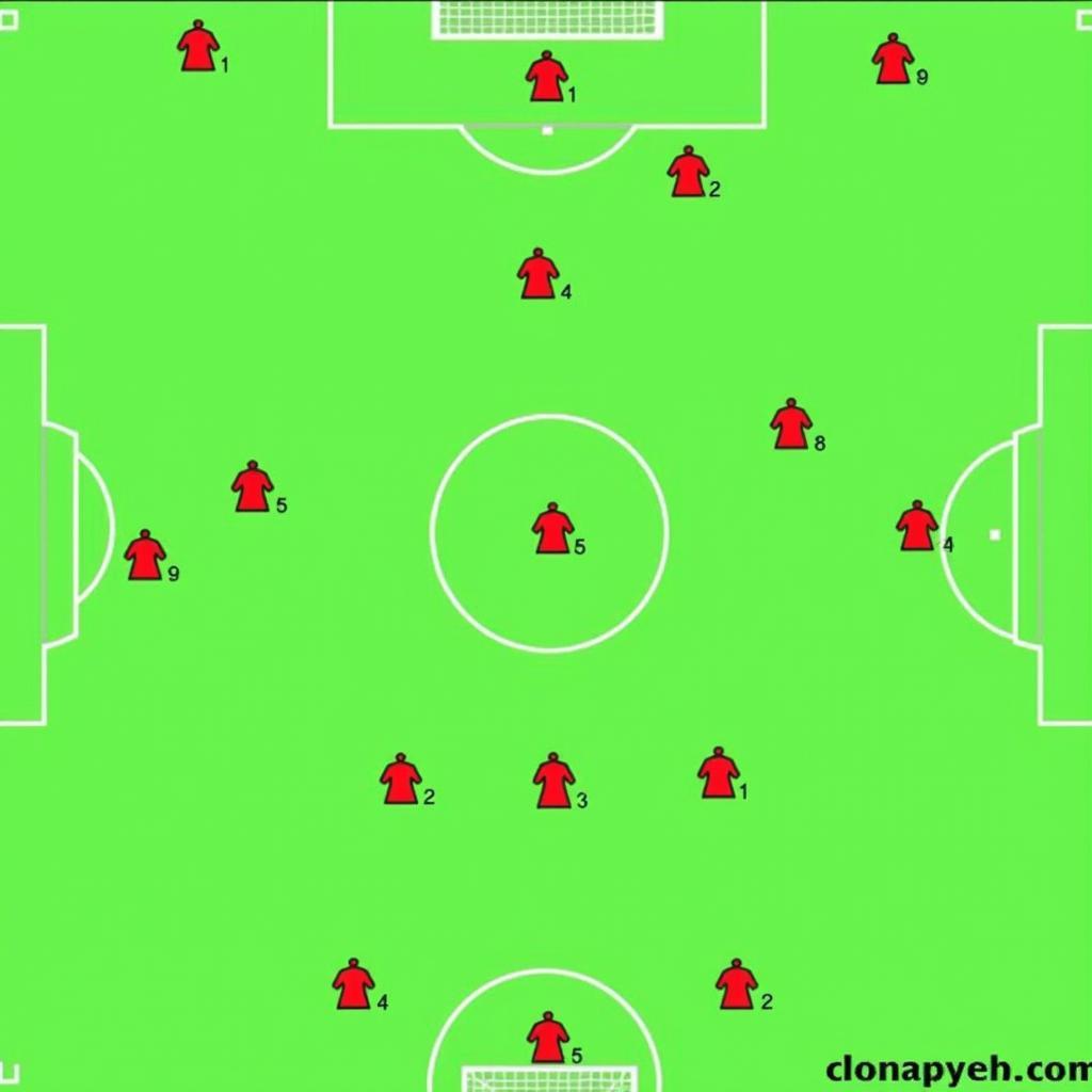 Vietnamese Football 4-4-2 Formation Diagram