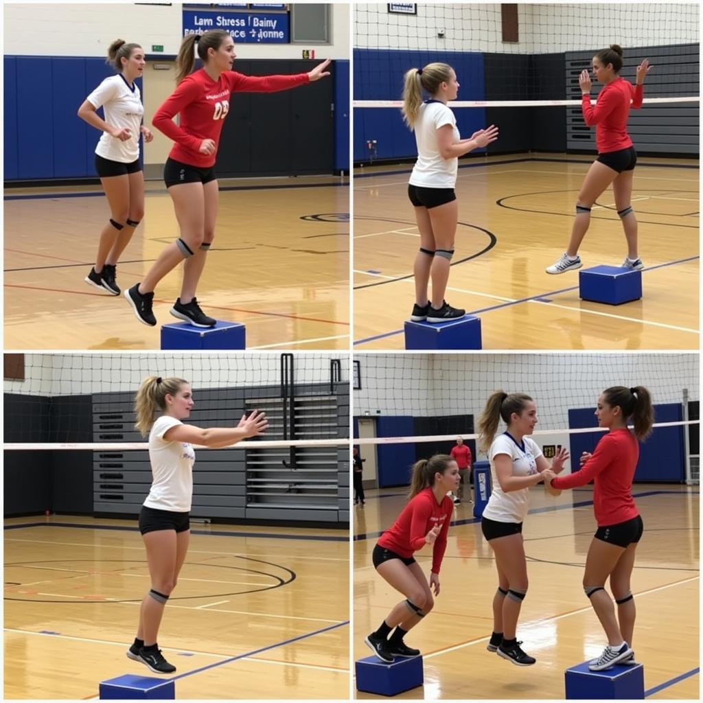 Volleyball players training their jump.