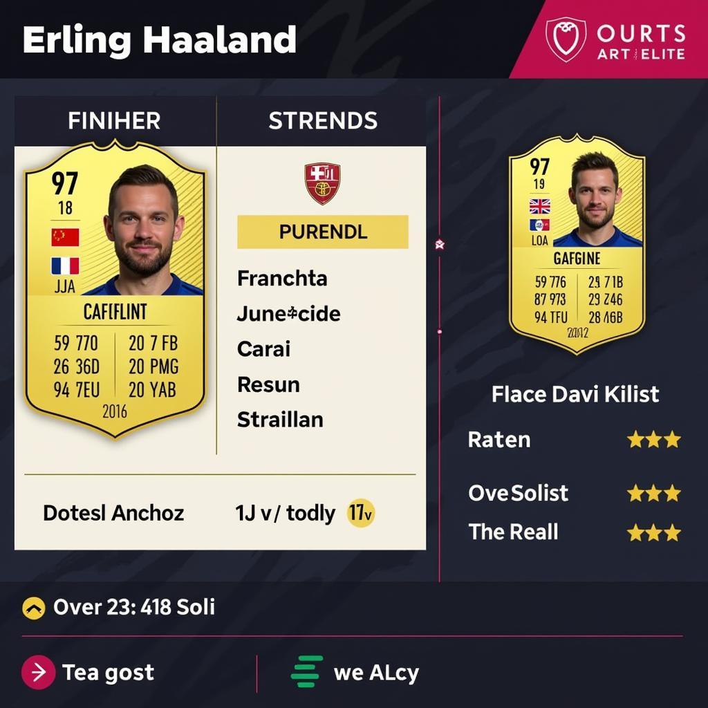 Erling Haaland's FM18 Profile Screenshot