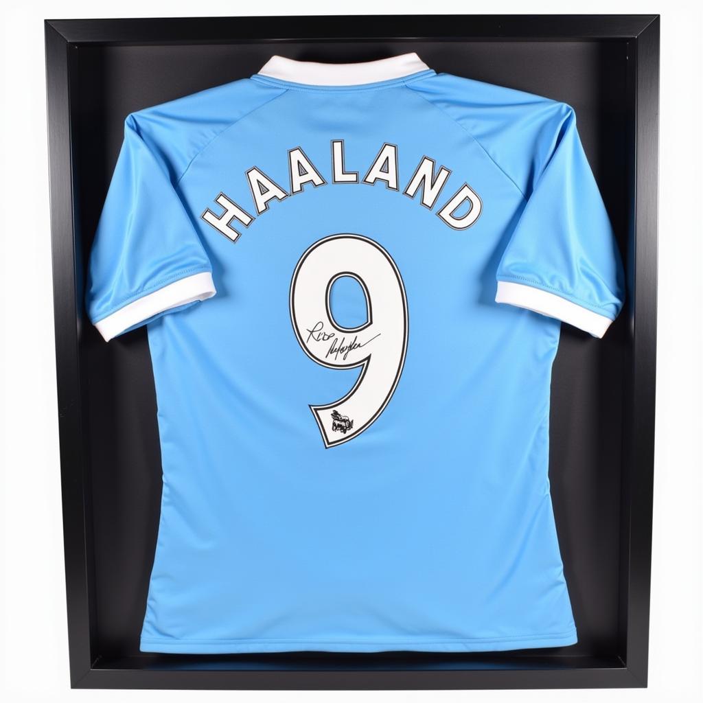 Erling Haaland Signed Jersey