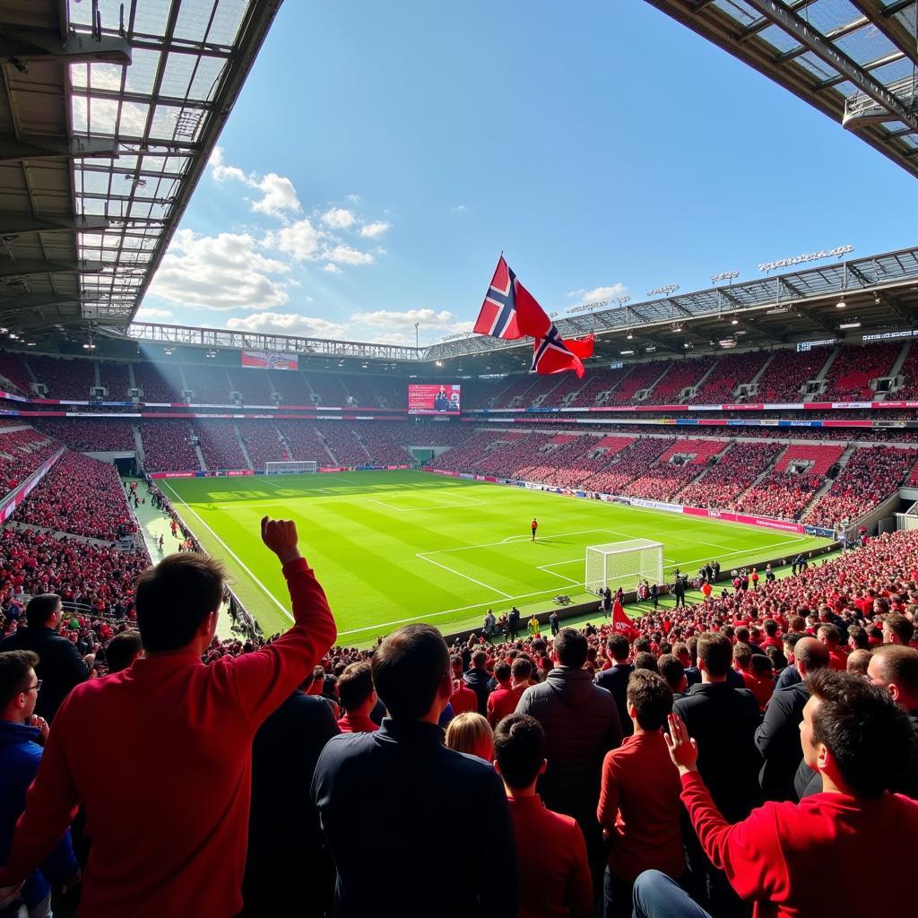 The Future of Norwegian Football: Stadium Filled with Fans