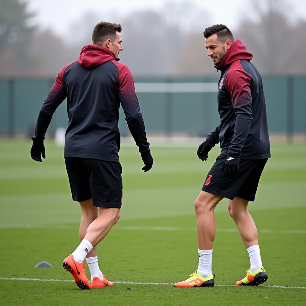 Lewandowski and Haaland on the Training Ground