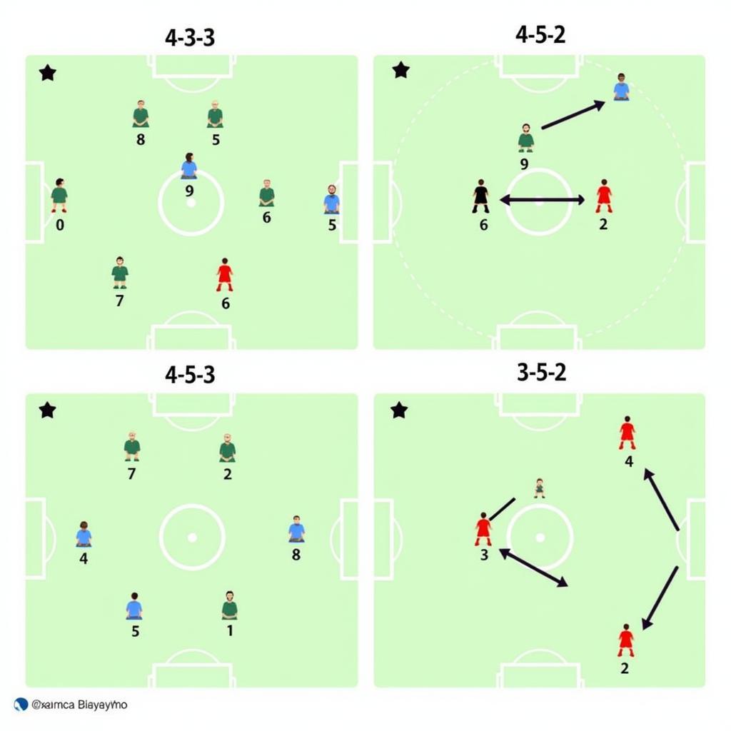 Player Order and Formation