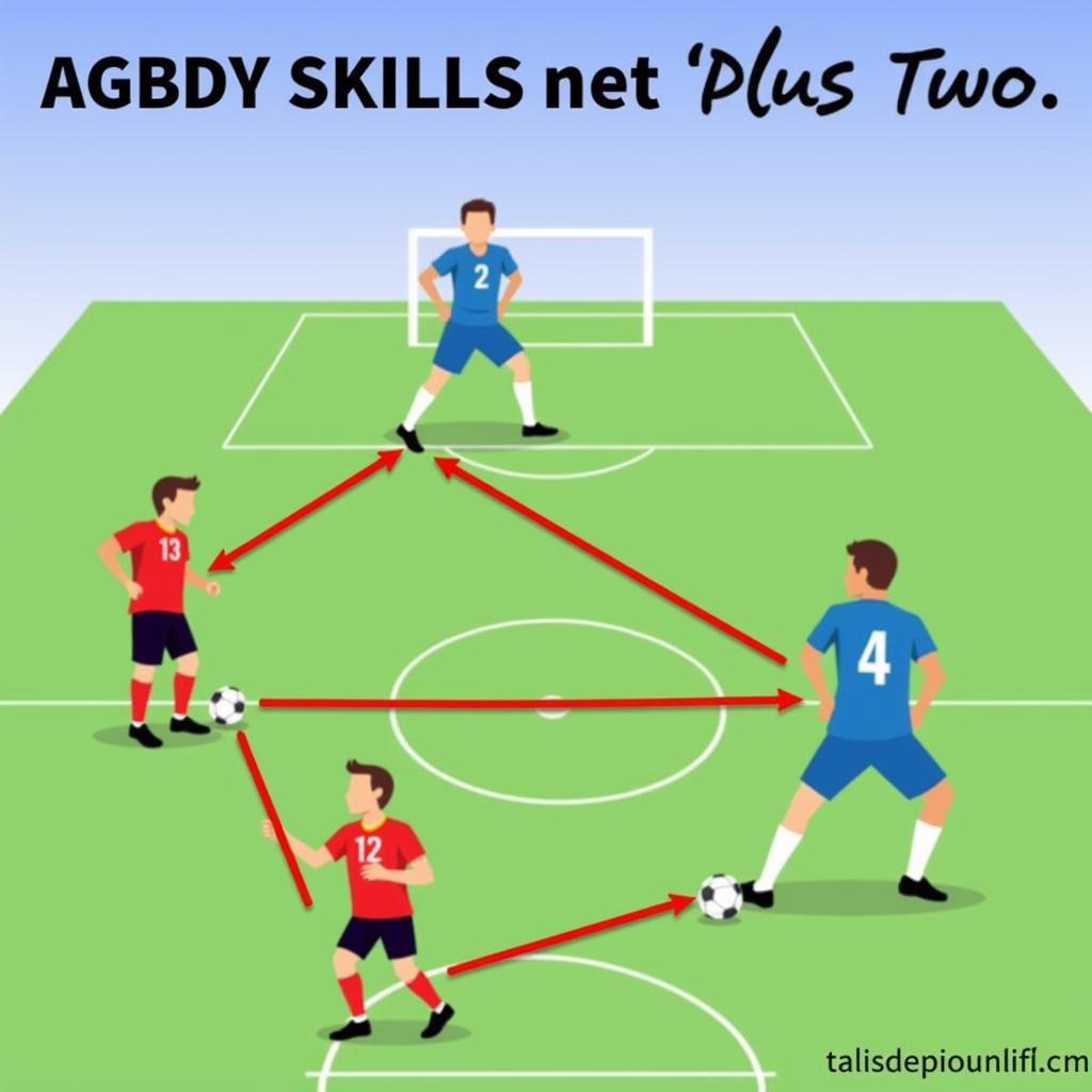 Player Plus Two Training Drills