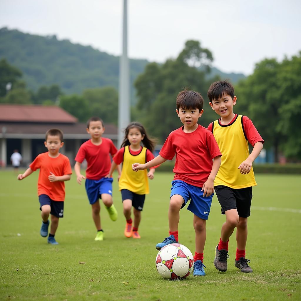 Quang Ngai Football Future