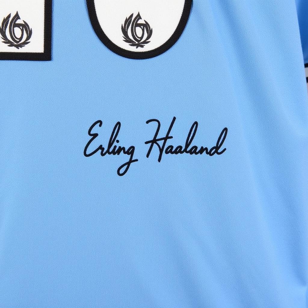 A signed Erling Haaland jersey