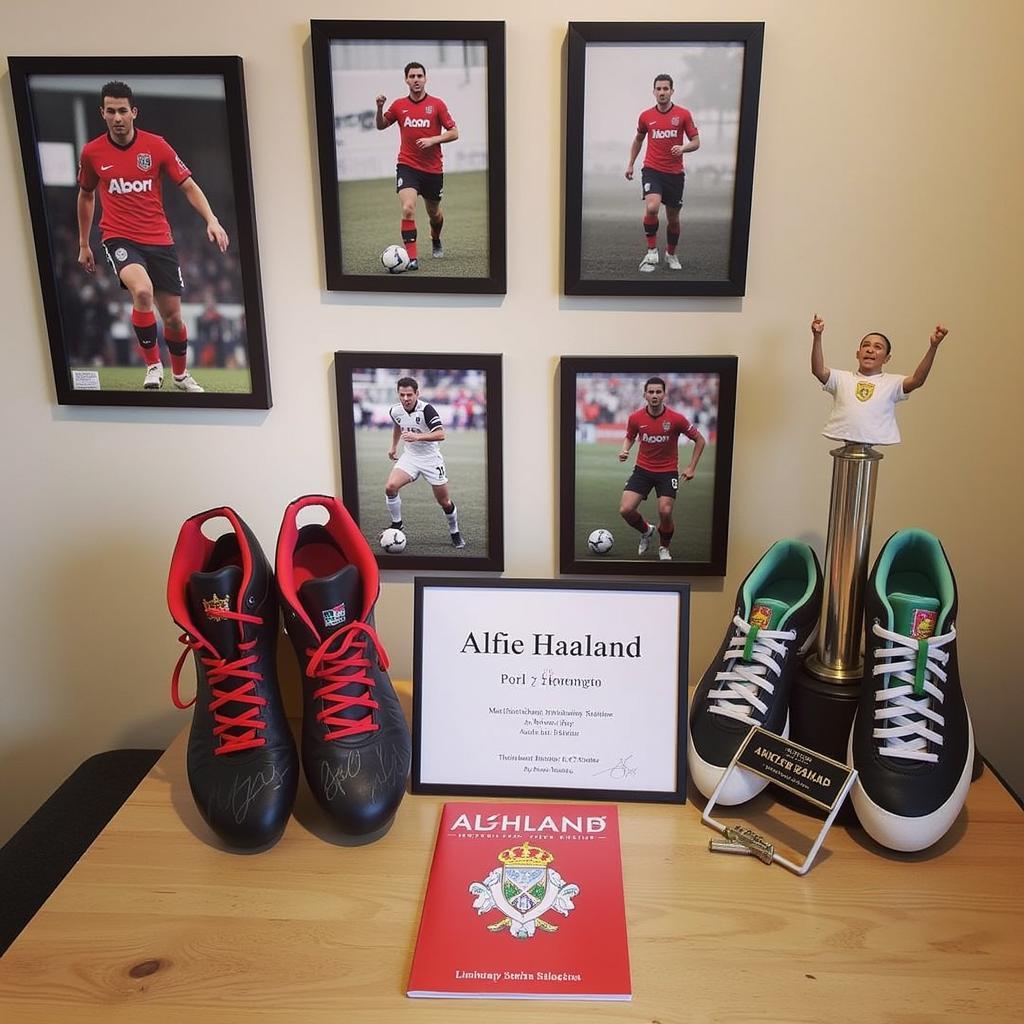 Collecting Alfie Haaland Memorabilia