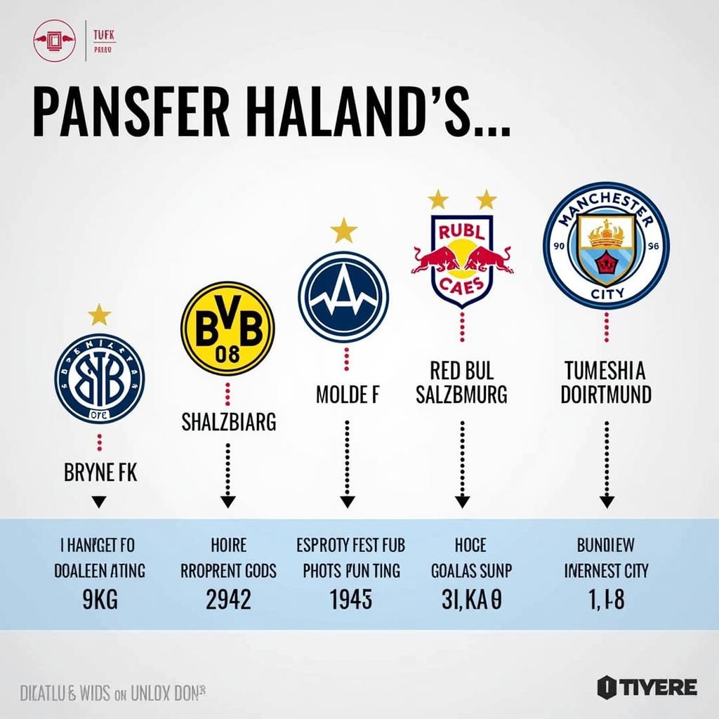 Erling Haaland's Career Trajectory