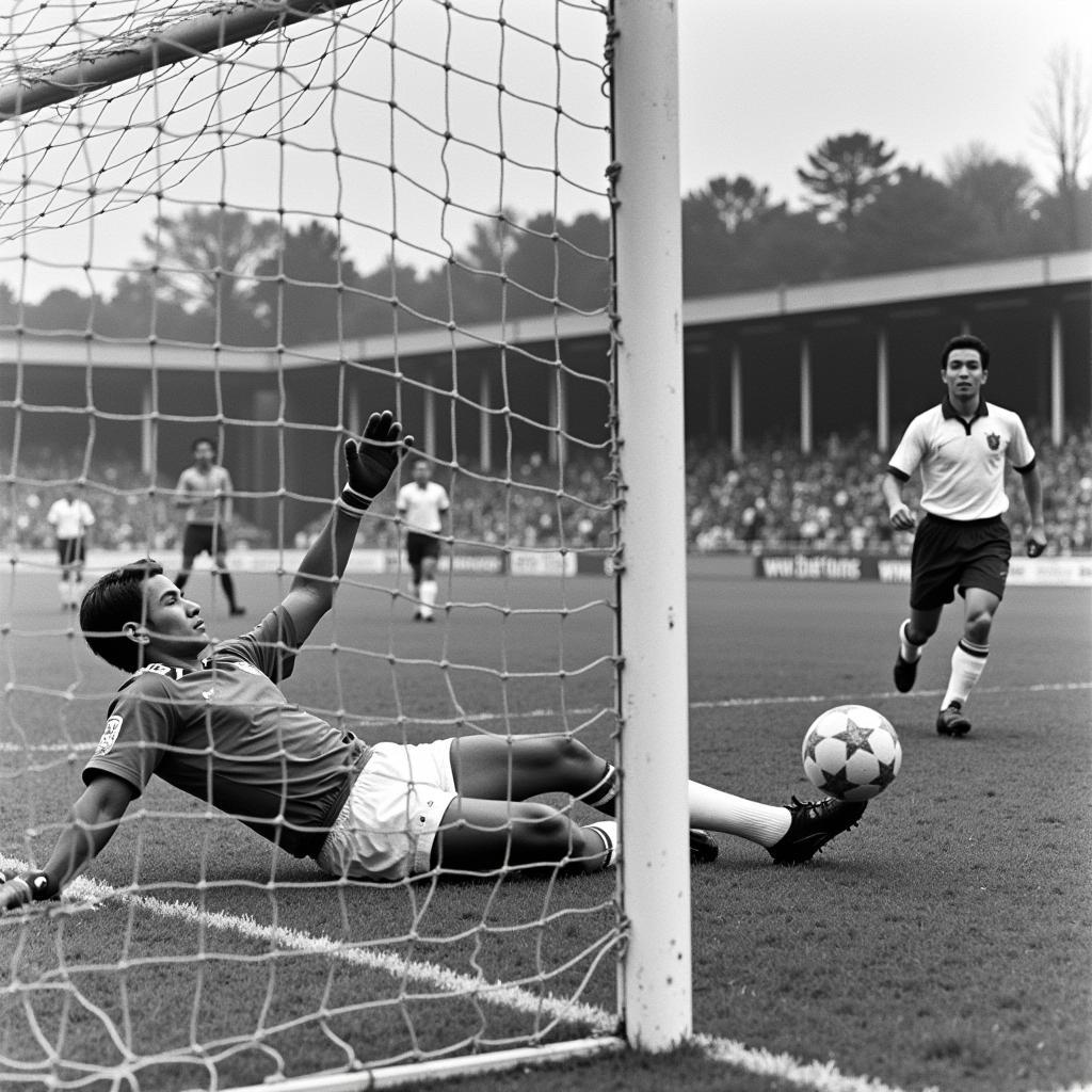 Historical Vietnamese Football Goal