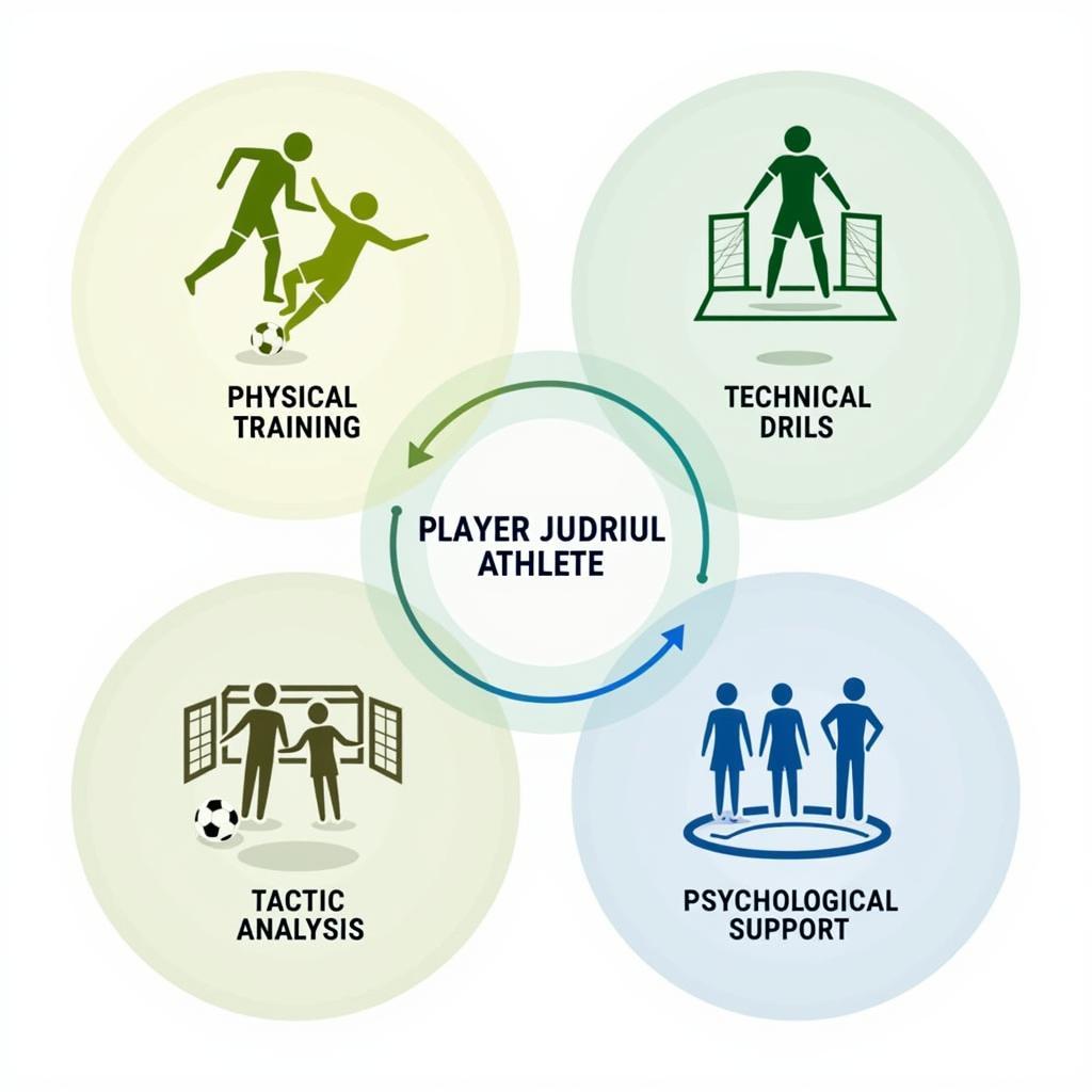 Holistic Player Development