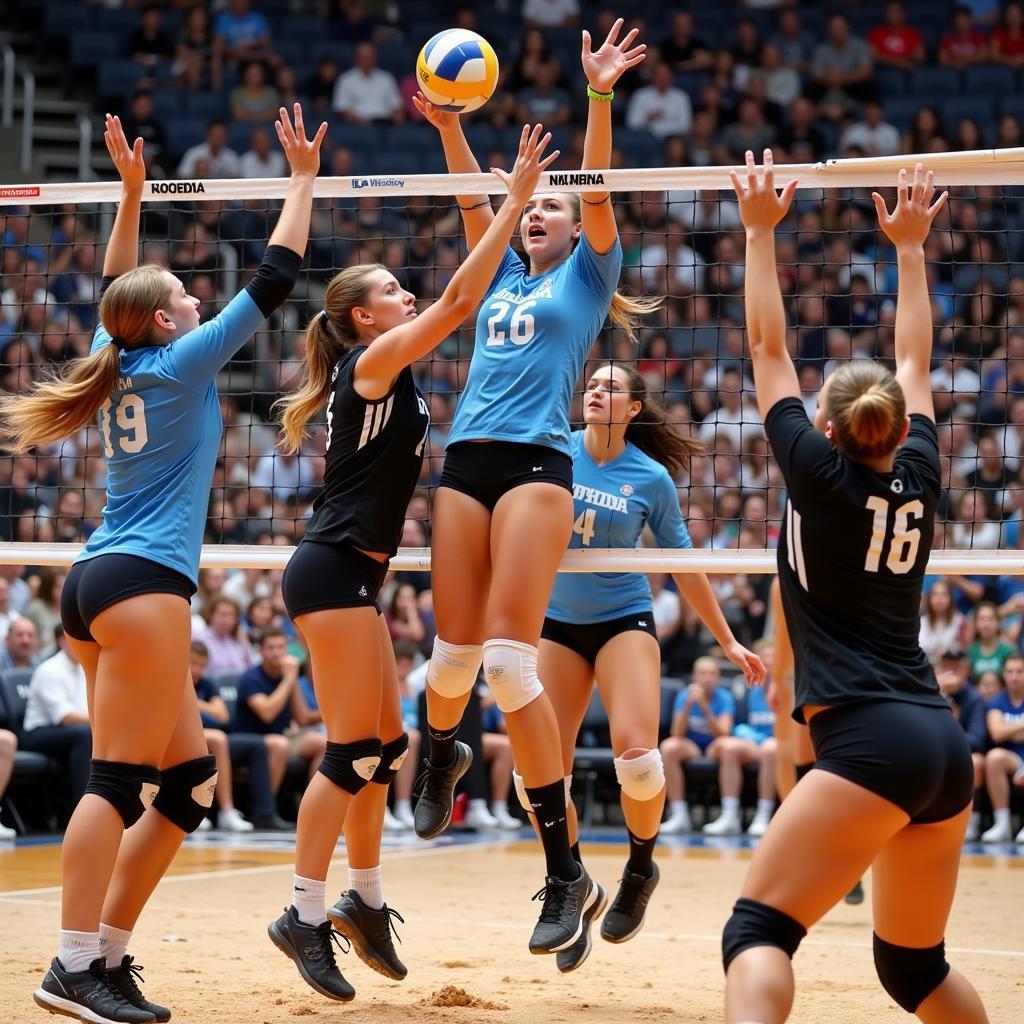 Dynamic Volleyball Players in Action